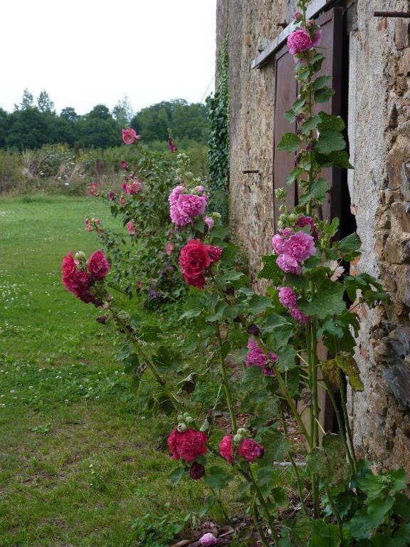 Chambres D'Hotes Le Chateau Rouge Saint-Germain-sur-Moine Zewnętrze zdjęcie